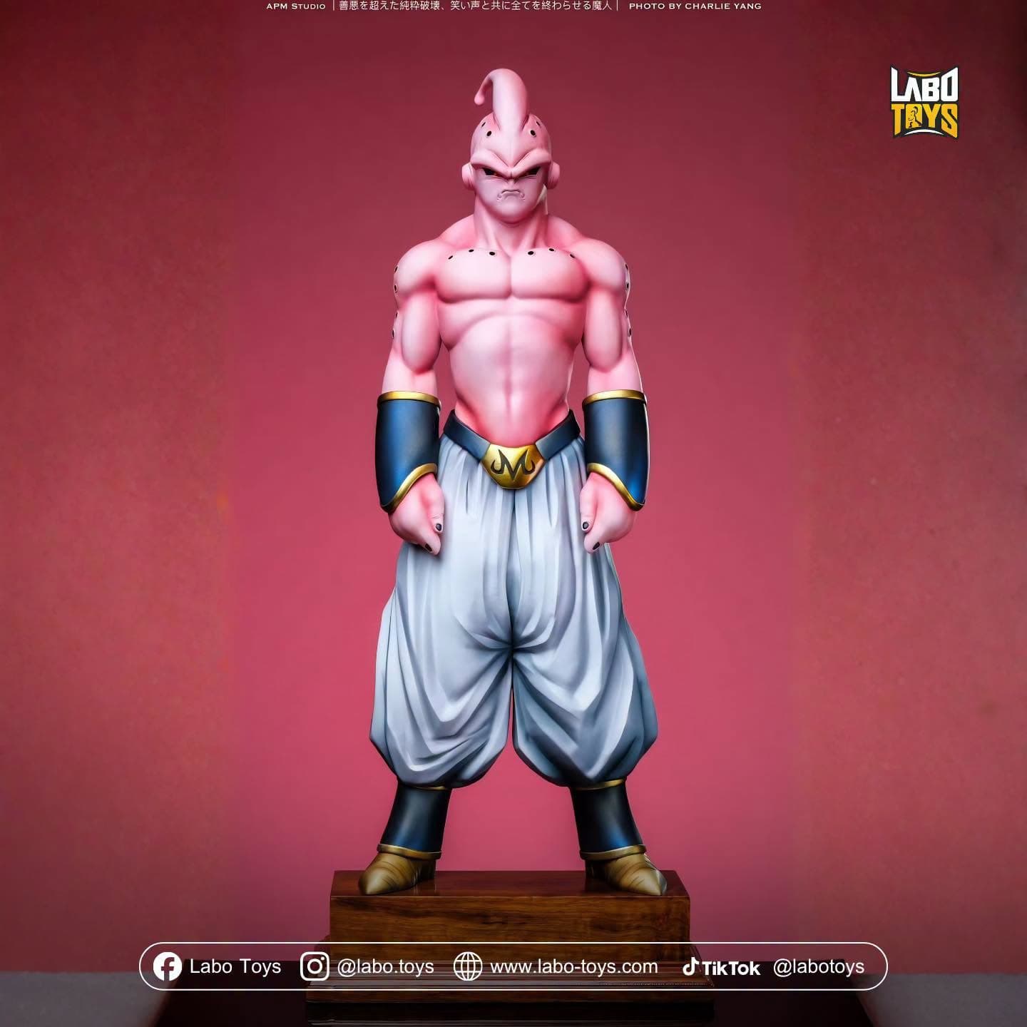 Super Buu | Dragon Ball Buu Resonance Series By APM Studio