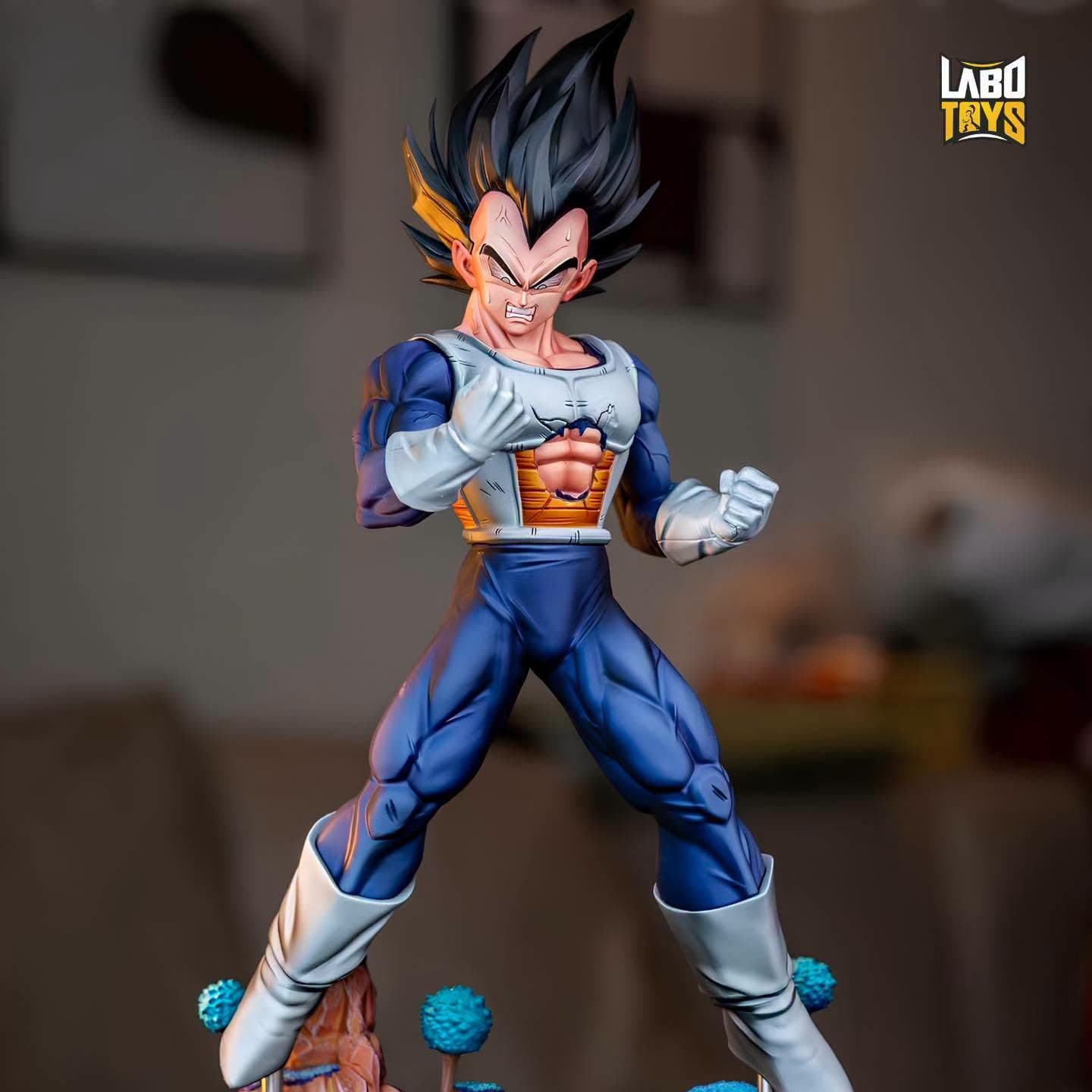 Vegeta | Dragon Ball | WDF Studio